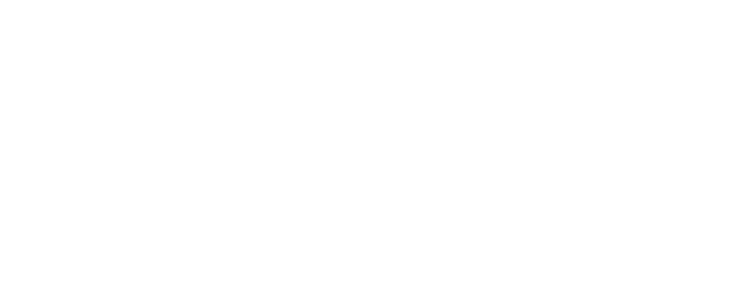 New Day Media